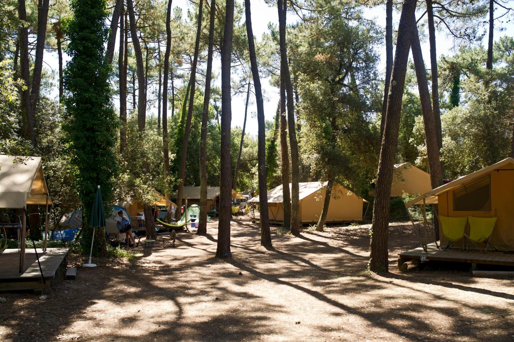 Huttopia Oleron Les Chenes Verts Dolus-d'Oléron Room photo