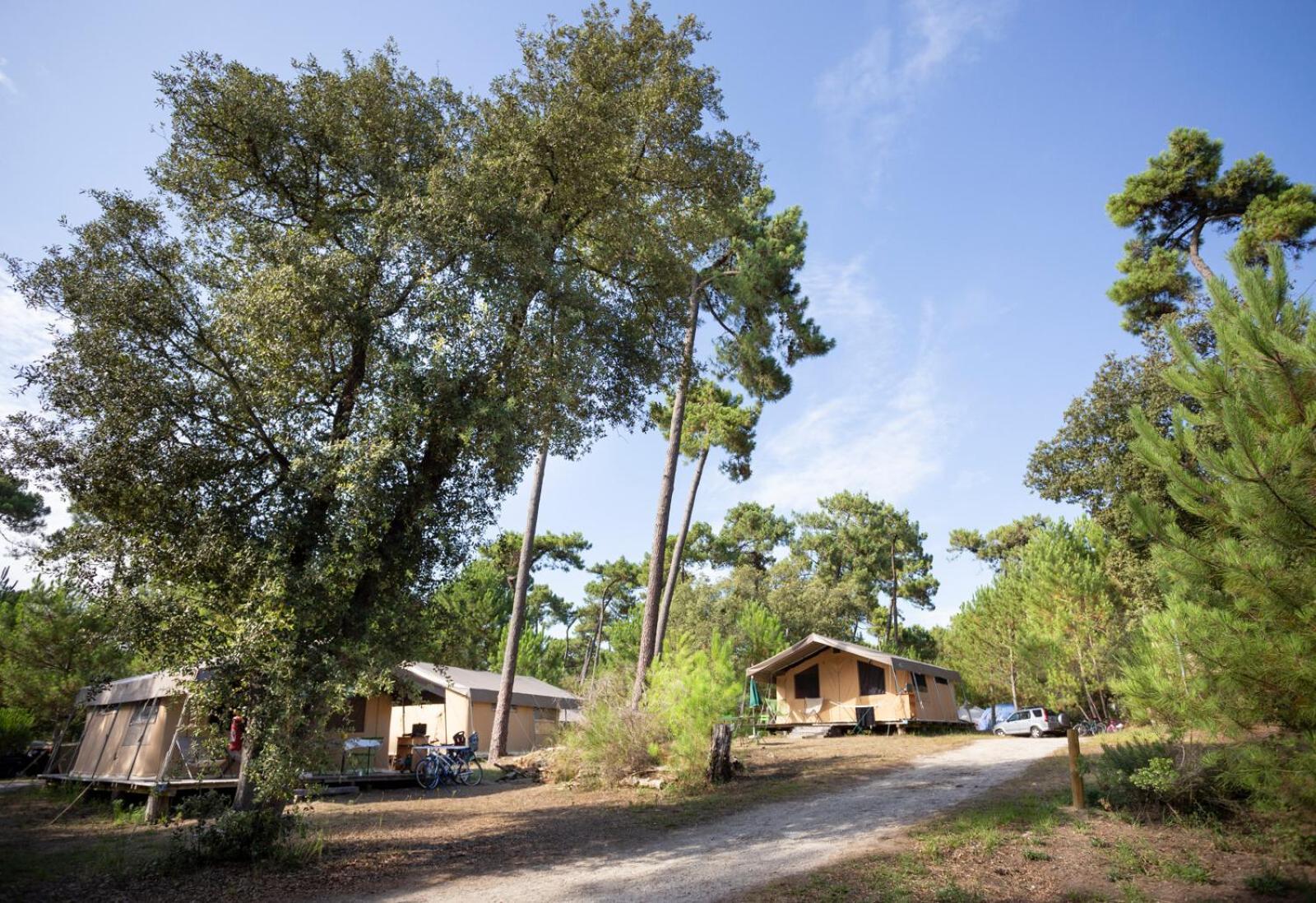 Huttopia Oleron Les Chenes Verts Dolus-d'Oléron Exterior photo